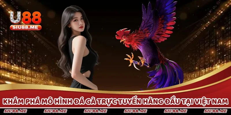 Khám phá mô hình đá gà trực tuyến hàng đầu tại Việt Nam